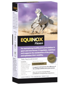 EQUINOX Flexen Articulaciones