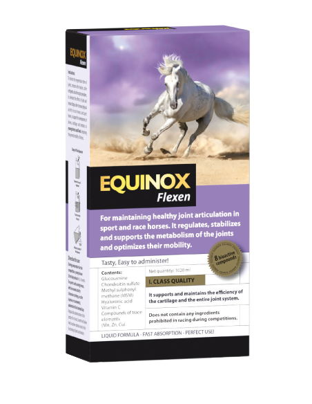 EQUINOX Flexen Joint Mobility