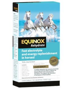EQUINOX Rehydrate – 1 litro...