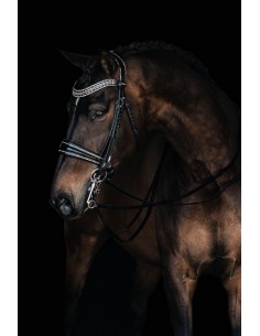 JOHNNY DOUBLE SILVER BRIDLE